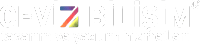 Web tasarım, Web yazılım